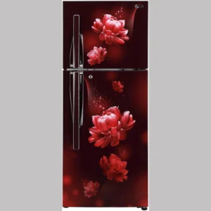 LG 260 L Direct Cool Double Door 2 Star Refrigerator